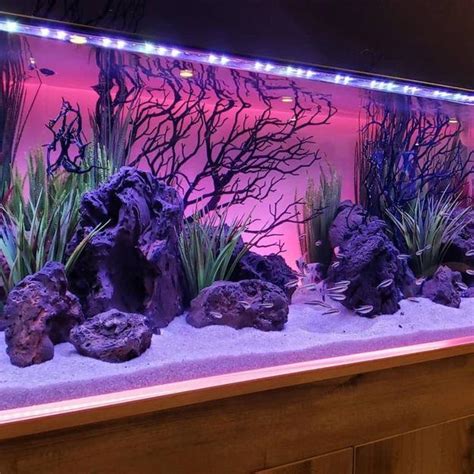 Aquarium Gravel in Fish Tank Decoration .